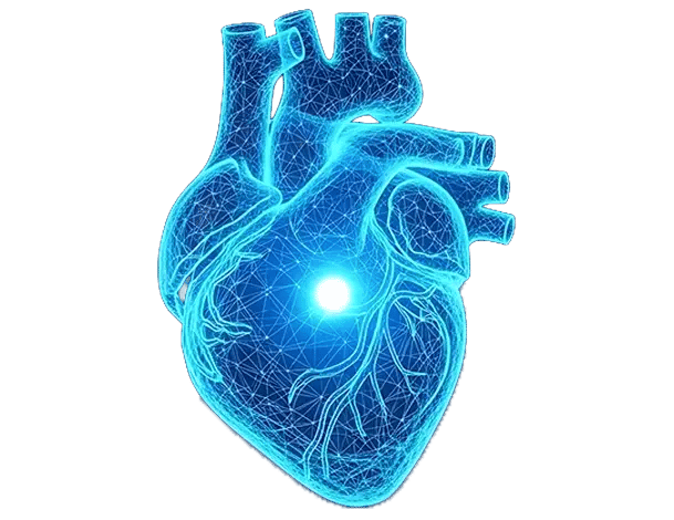 CVI - Home - Our Surgical Services copy